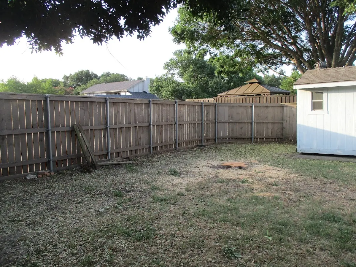 Cleared yard after professional tree removal in Cotton